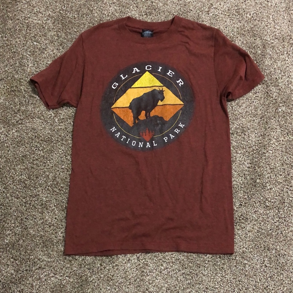 Men's Glacier National Park Graphic Tee - Brown
